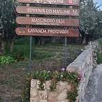 Senkini Dvori Lägenhet *