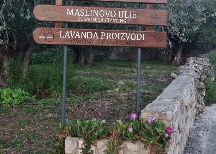 Senkini Dvori Daire *