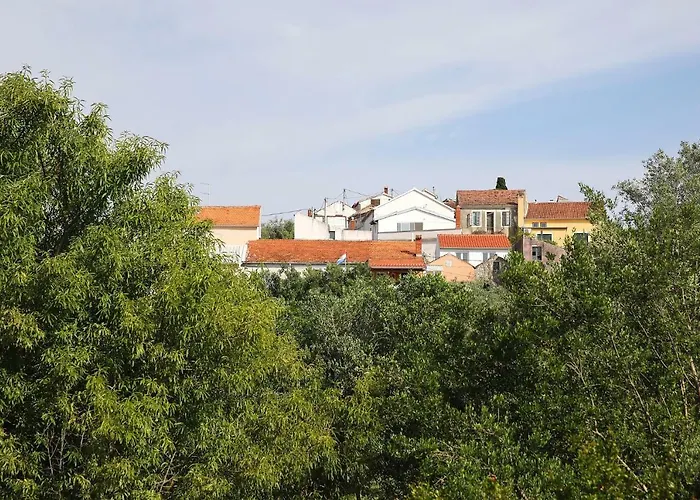 Senkini Dvori Daire Sutomiscica