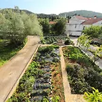 Senkini Dvori *