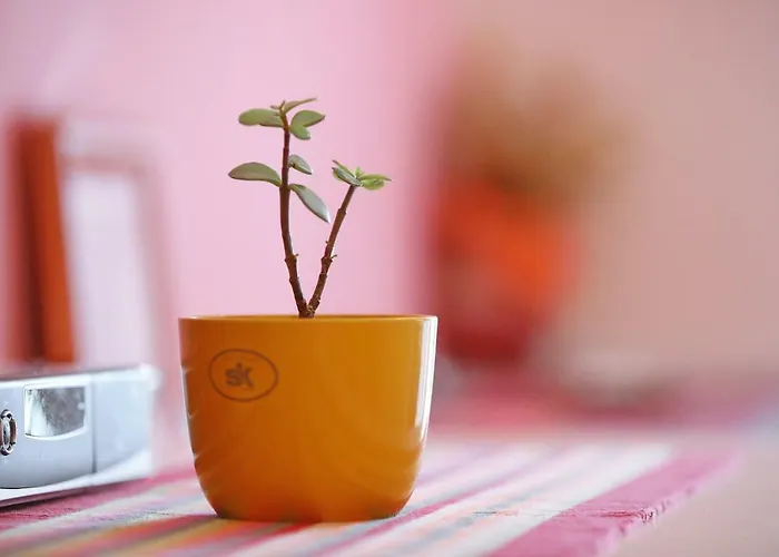 Senkini Dvori شقة *