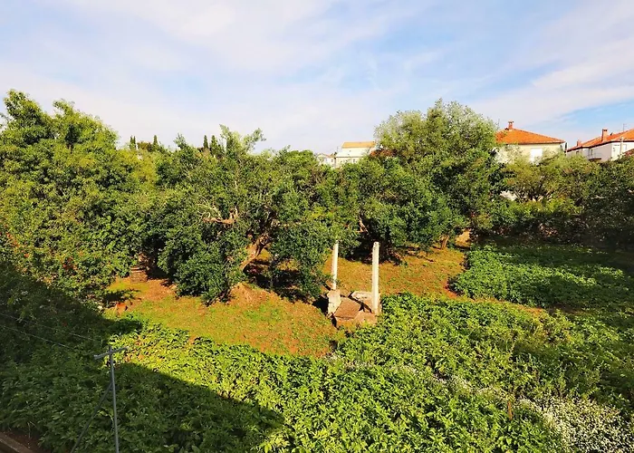 Senkini Dvori Appartement Sutomiscica